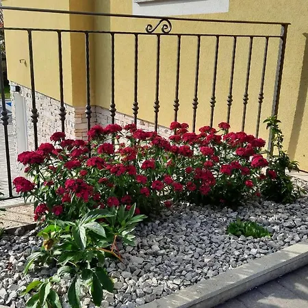 Apartman Ela *